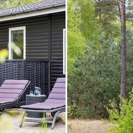 1609-aakirkeby-aspesgardsskoven-25 Vester Somarken